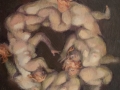 Ring-a-ring o’ rosies 2