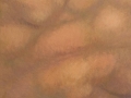 0208 Flesh abstract