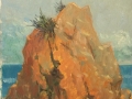 0698 Rocky outcrop by the sea