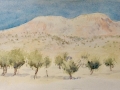 0946 Trees and mountain