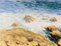 0948 Coastal rocks