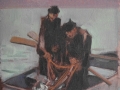 Mullet haul, Patonga