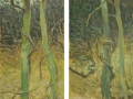 Rainforest patterns