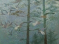 Seagulls and pines