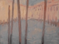 Venice, poles apart
